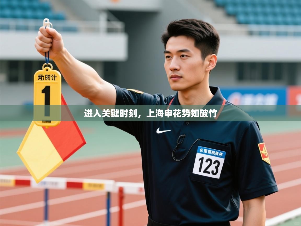 进入关键时刻，上海申花势如破竹  第1张